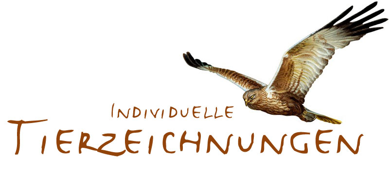 Tierzeichnungen